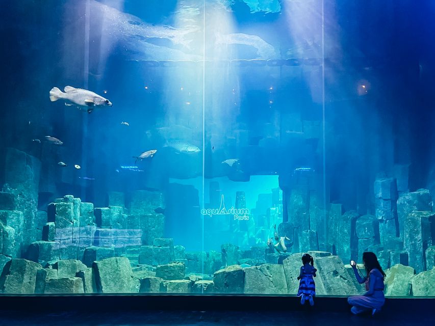 The Aquarium de Paris: A Spectacular Marine Wonderland